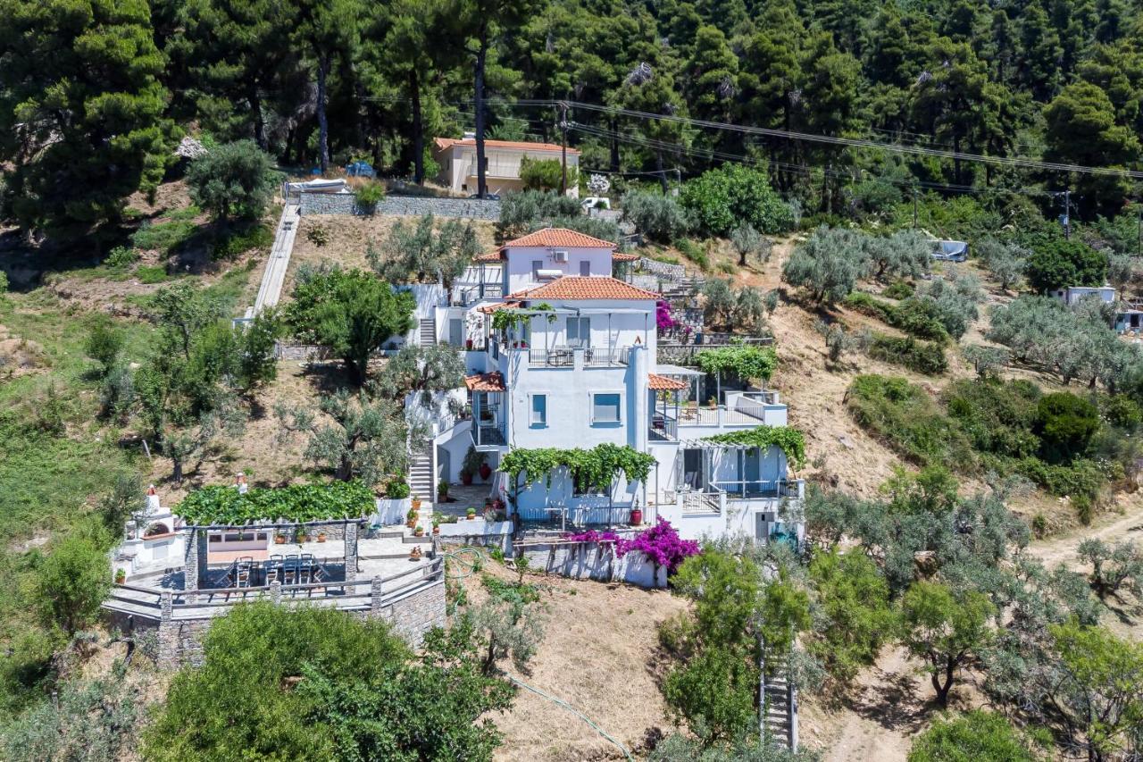 ホテル Stamatiou Estate ネオ・キリマ エクステリア 写真